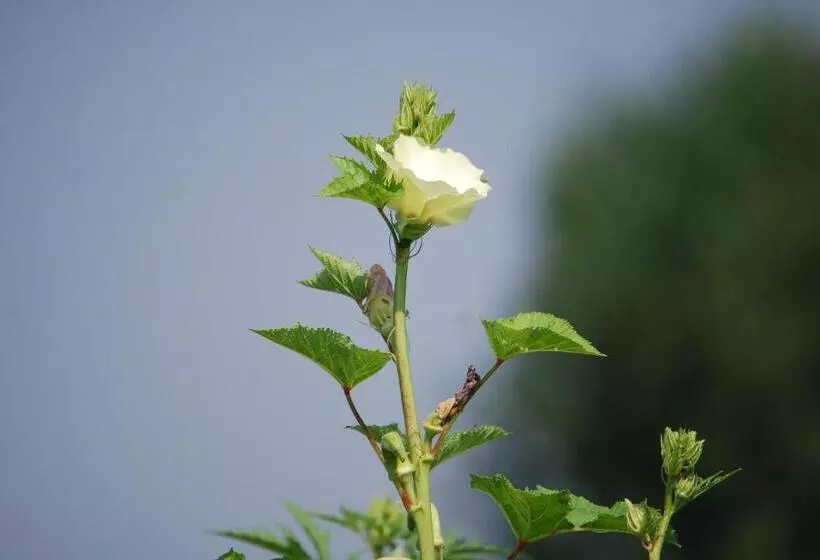 تختخواب و صبحانه Agriturismo Cascina Selva
