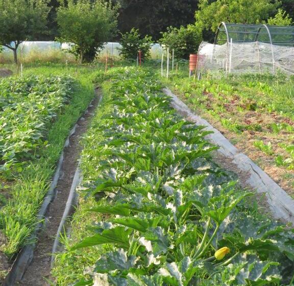 تختخواب و صبحانه Agriturismo Cascina Selva