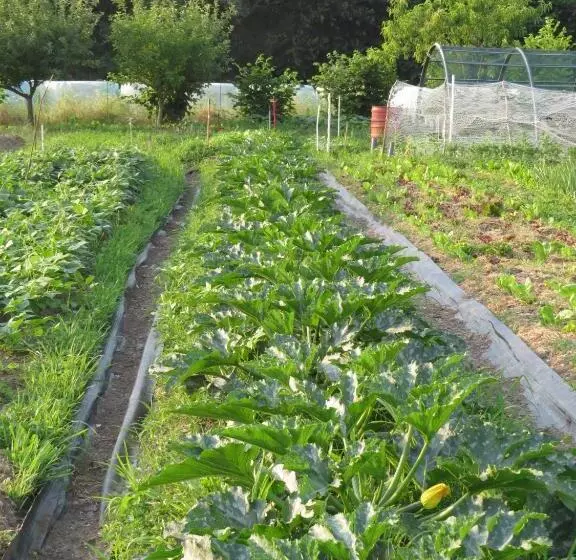 تختخواب و صبحانه Agriturismo Cascina Selva