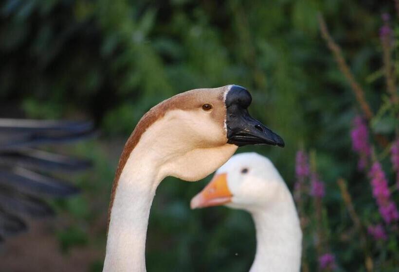 تختخواب و صبحانه Agriturismo Cascina Selva