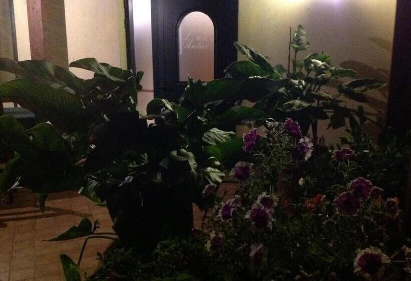 צימר L' Aia Antica