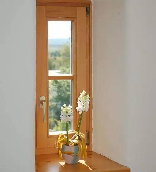 Hotelli Landgasthof Zum Alten Gut