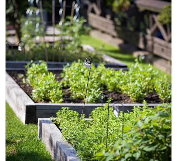 호텔 Hôtel Restaurant Yoann Conte Bord Du Lac