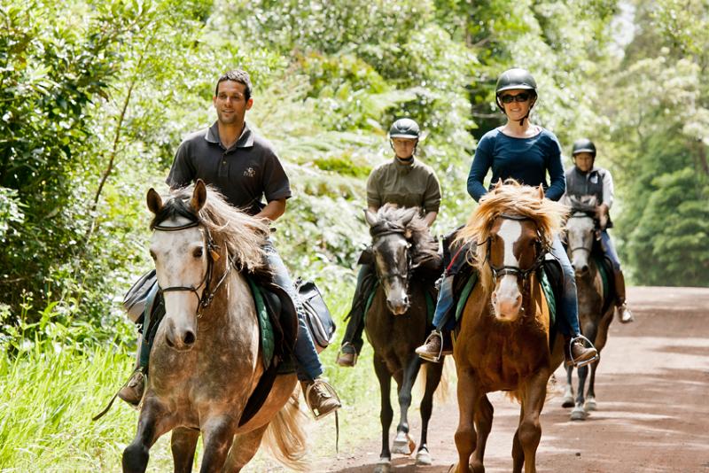 فندق Pátio Ecolodge