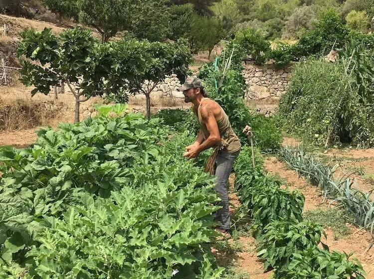 ホテル Valley Club Ibiza   Boutique Agroturismo