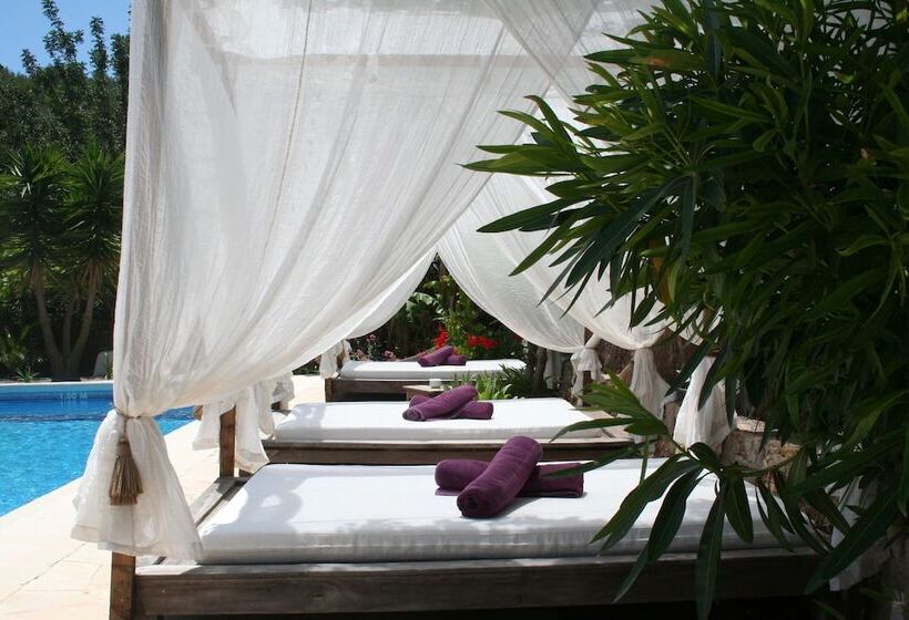 ホテル Valley Club Ibiza   Boutique Agroturismo