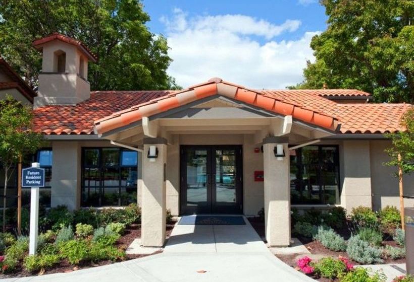 Avalon Mountain View