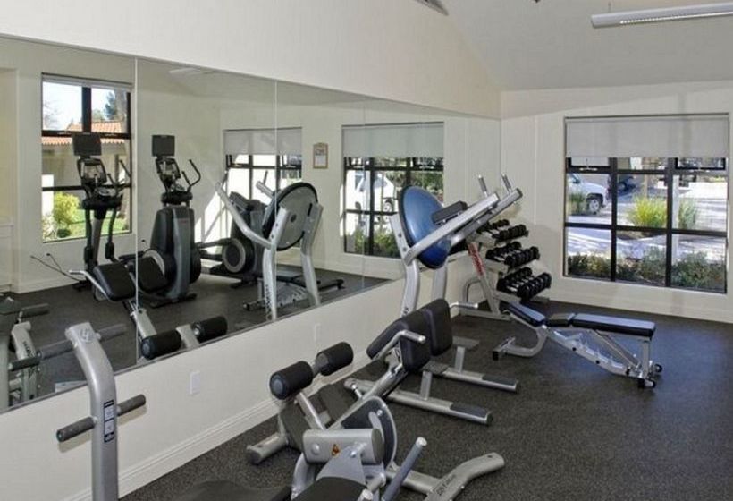 Avalon Mountain View