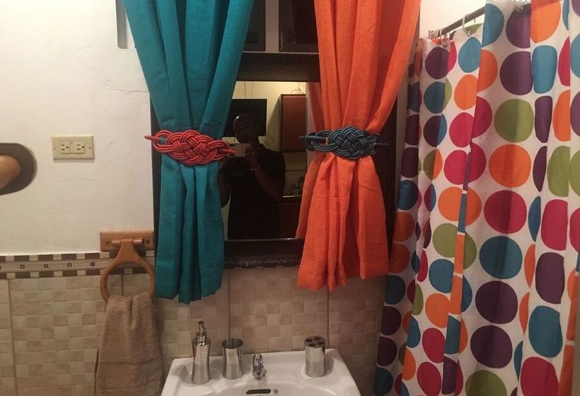 پانسیون Liam S Guest House On The Avenue