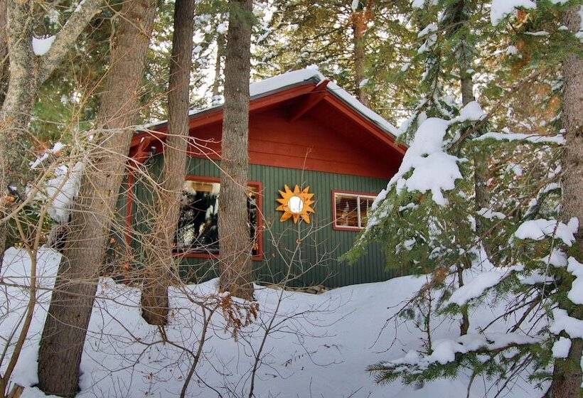 Treehouse By The Stream