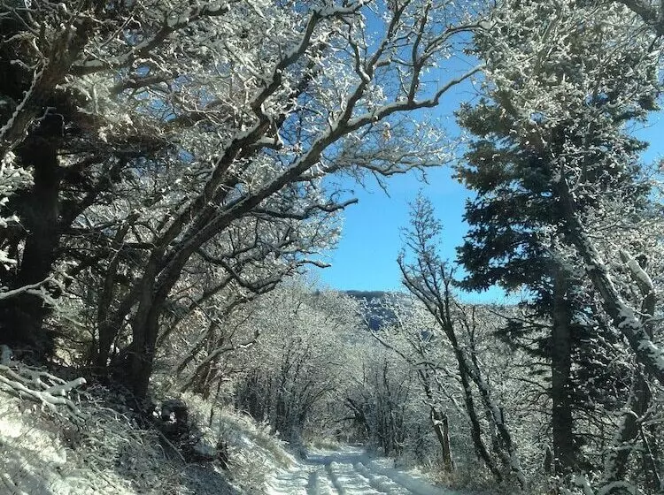 Treehouse By The Stream