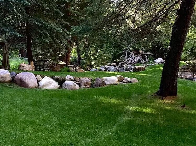 Treehouse By The Stream