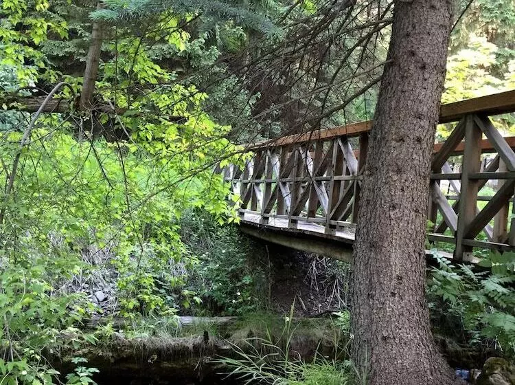 Treehouse By The Stream