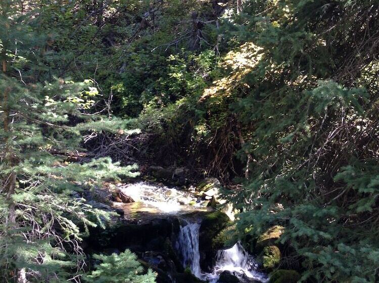 Treehouse By The Stream