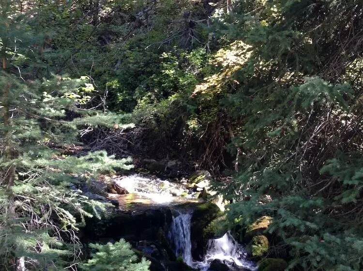 Treehouse By The Stream