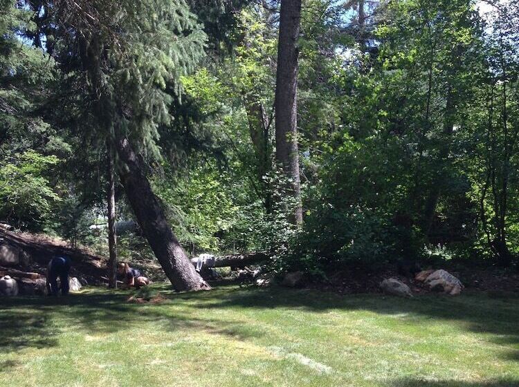 Treehouse By The Stream