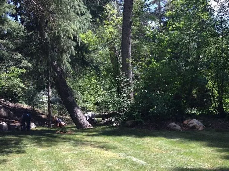 Treehouse By The Stream