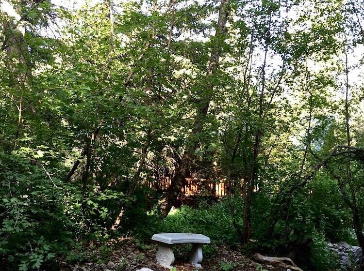 Treehouse By The Stream