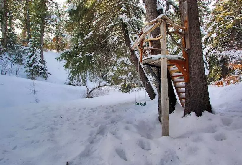 Treehouse By The Stream