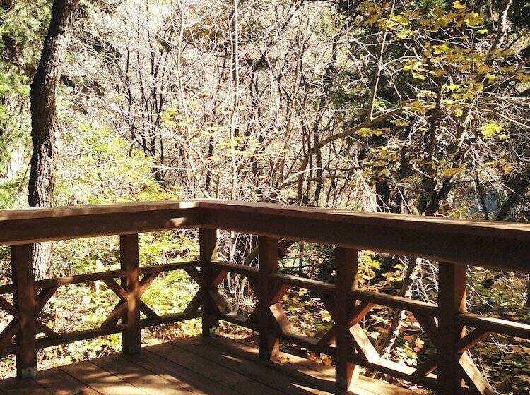 Treehouse By The Stream