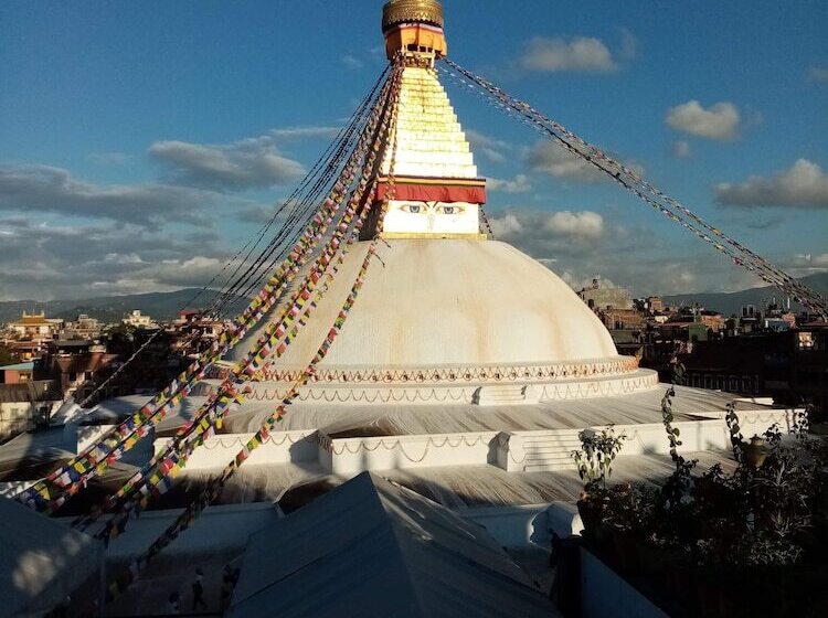 Bouddha Inn Meditation Center