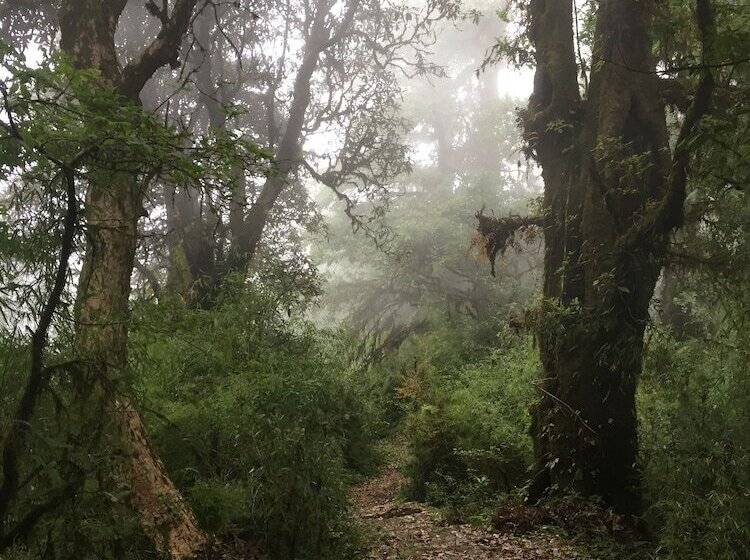 Bouddha Inn Meditation Center
