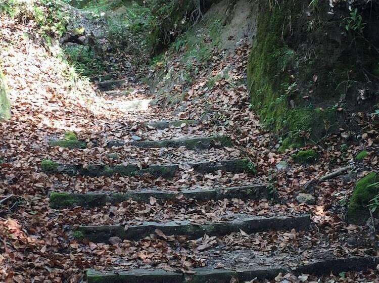 Bouddha Inn Meditation Center