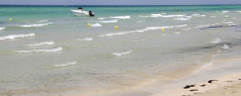 호텔 Al Jazira Beach