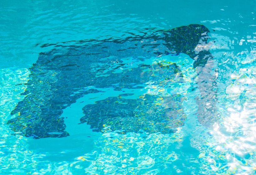 ホテル Aloft Corpus Christi