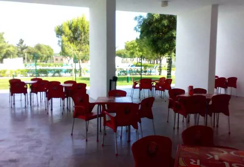 ホテル Parque De Campismo Orbitur Montargil