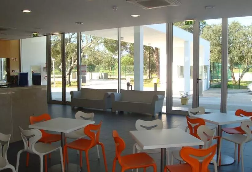 ホテル Parque De Campismo Orbitur Montargil