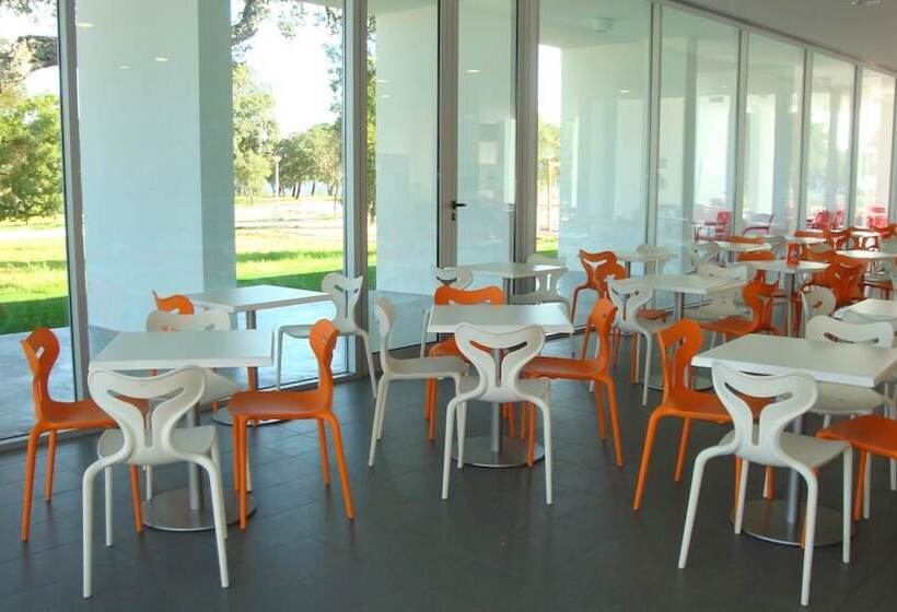 هتل Parque De Campismo Orbitur Montargil