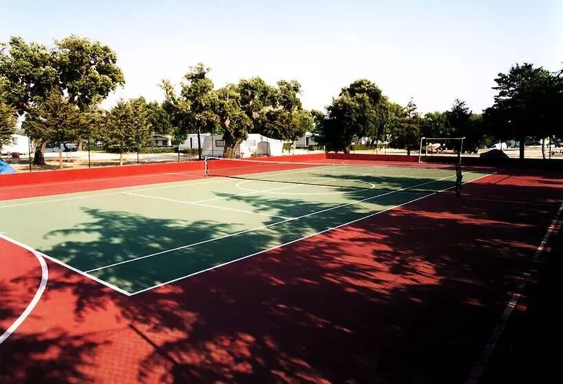 ホテル Parque De Campismo Orbitur Montargil