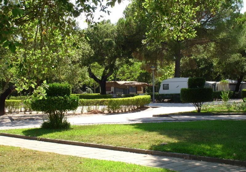 هتل Parque De Campismo Orbitur Montargil