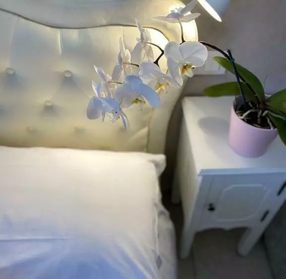 مسافرخانه Domus Valadier B&b Guesthouse