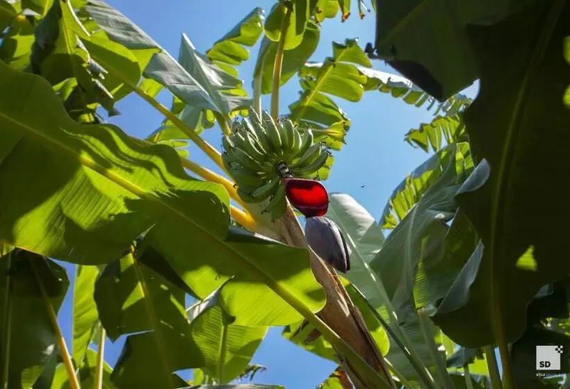 Tonicello Hotel Resort & Spa