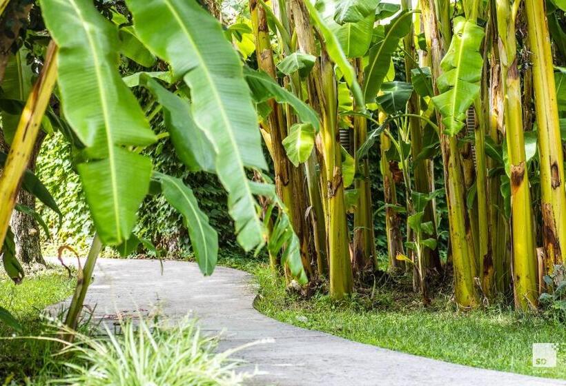 Tonicello Hotel Resort & Spa