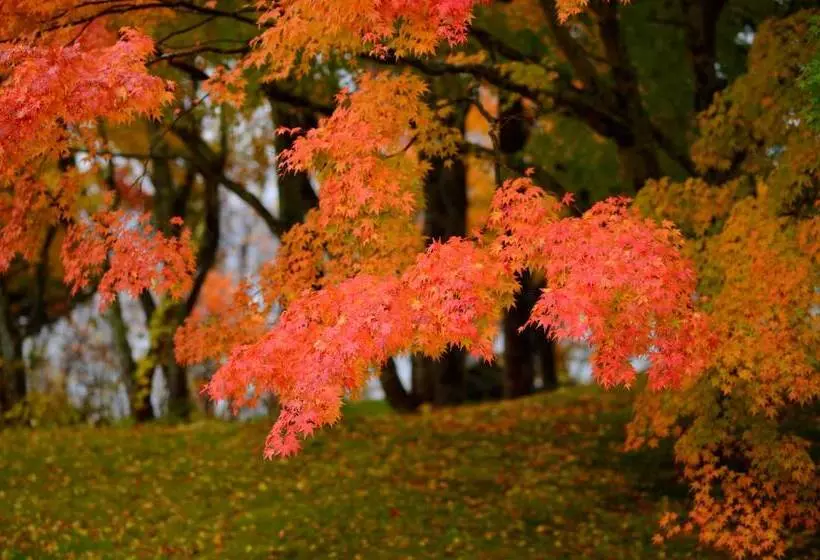 Hotelli Towada Prince