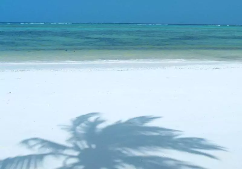 Lomakeskus The Palms Zanzibar