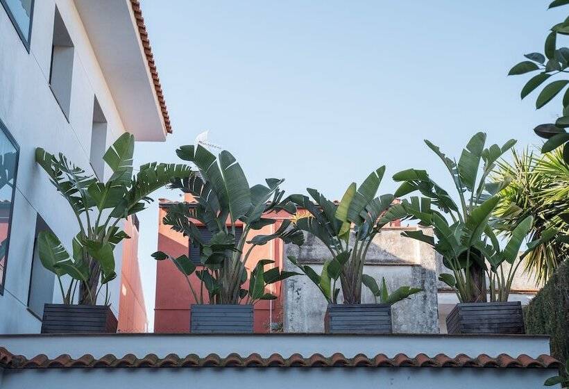 Beatrix 2000 - Caliu Apartments