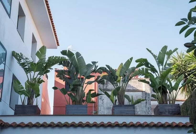 Beatrix 2000 - Caliu Apartments