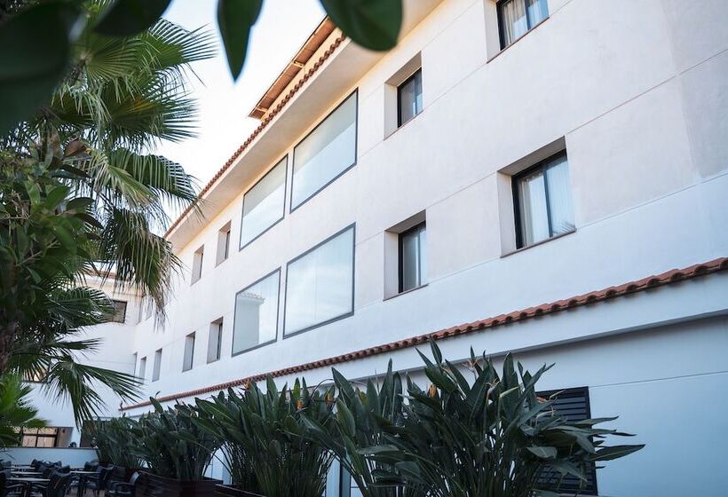 Beatrix 2000 - Caliu Apartments