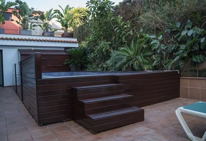 Beatrix 2000 - Caliu Apartments