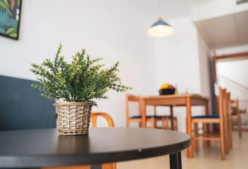 Beatrix 2000 - Caliu Apartments