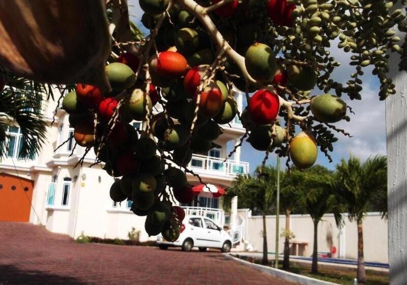 تختخواب و صبحانه Luxor Residence Guesthouse