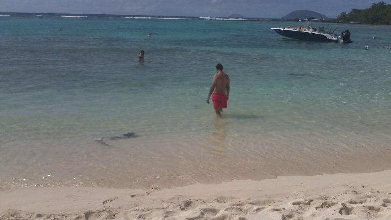 تختخواب و صبحانه Luxor Residence Guesthouse