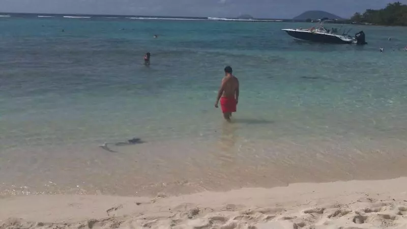 تختخواب و صبحانه Luxor Residence Guesthouse