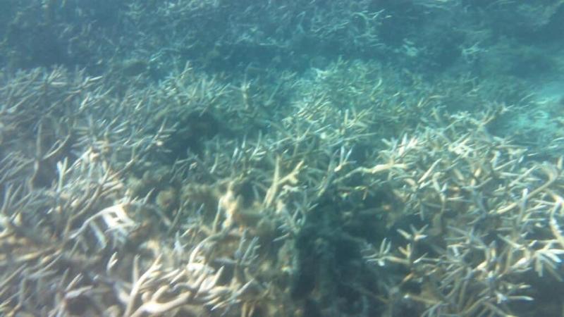 تختخواب و صبحانه Luxor Residence Guesthouse