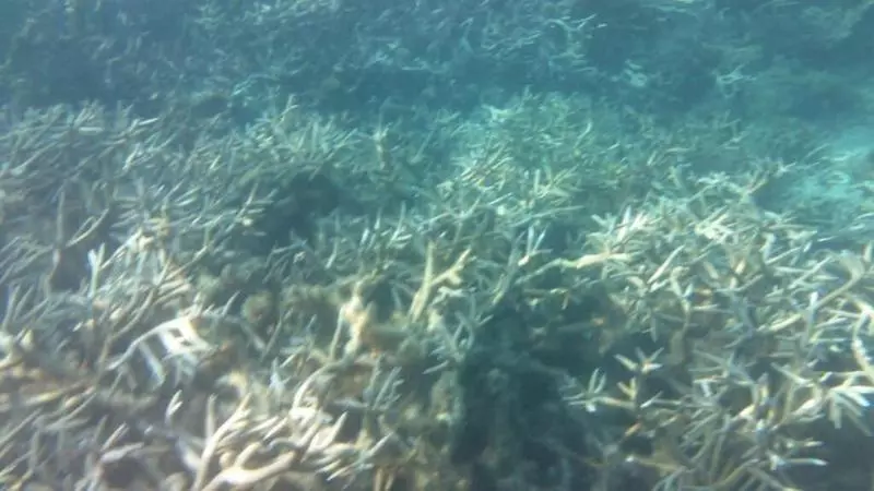 تختخواب و صبحانه Luxor Residence Guesthouse