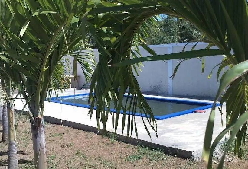 تختخواب و صبحانه Luxor Residence Guesthouse